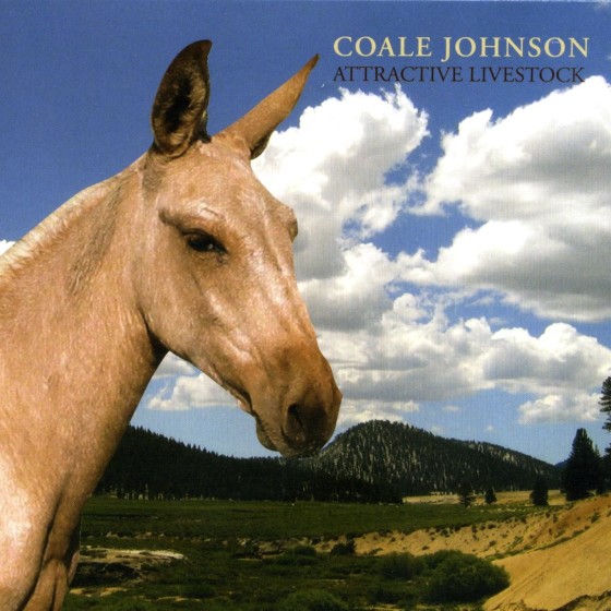 Attractive Livestock Album by Coale Johnson